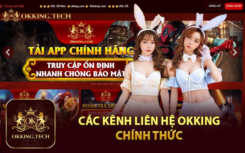 Các Kênh Liên Hệ Okking Chính Thức 