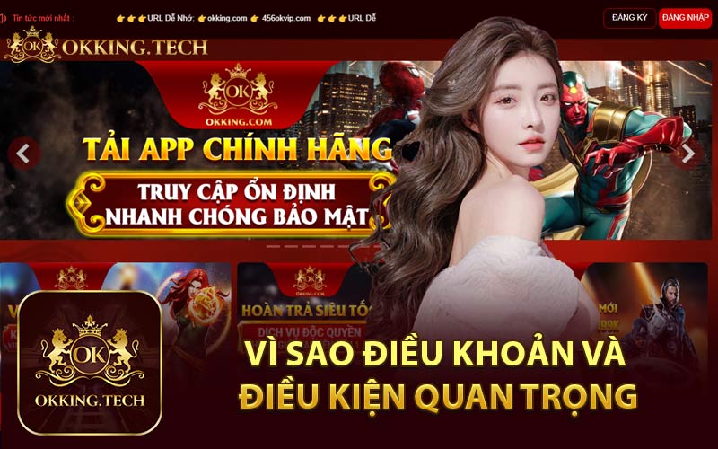 Vì Sao Điều Khoản và Điều Kiện Quan Trọng